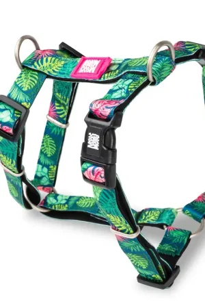 Meest Verkocht H-Harness - Tropical